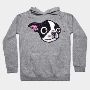 Boston Terrier Pup Hoodie